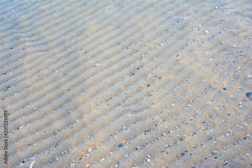 sandy bottom under transparent sea water
