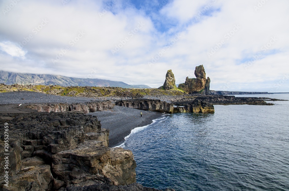 Coast Iceland with Black Sand Beach and Rock Cliffs