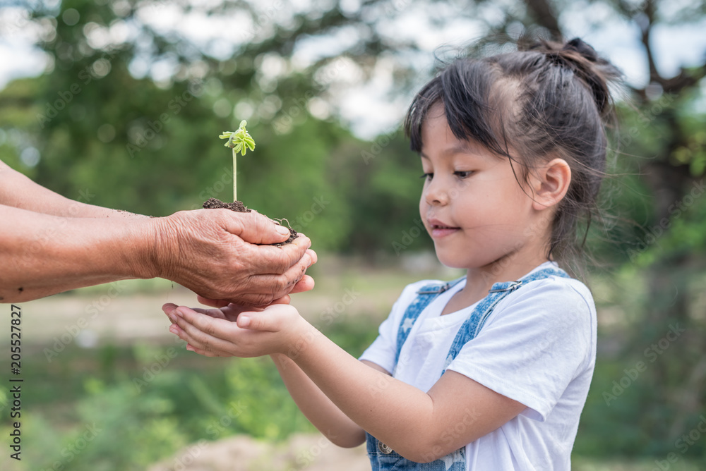 Child and senior man holding green plant in hands. Ecology concept Child and senior man holding green plant in hands. Ecology concept