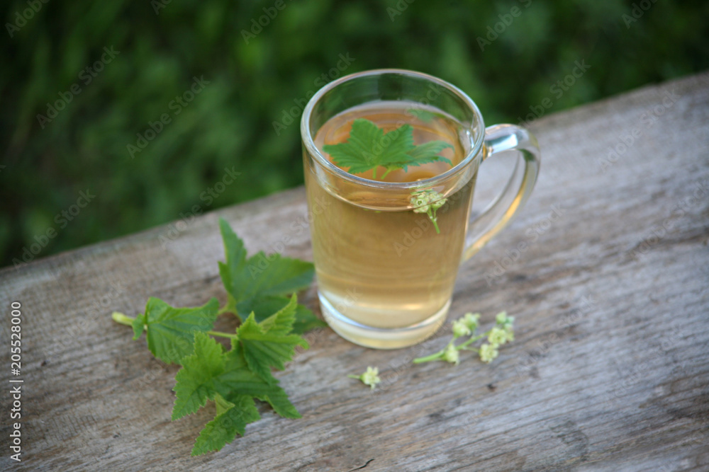 currant leaf tea on the table currant leaf tea on the table