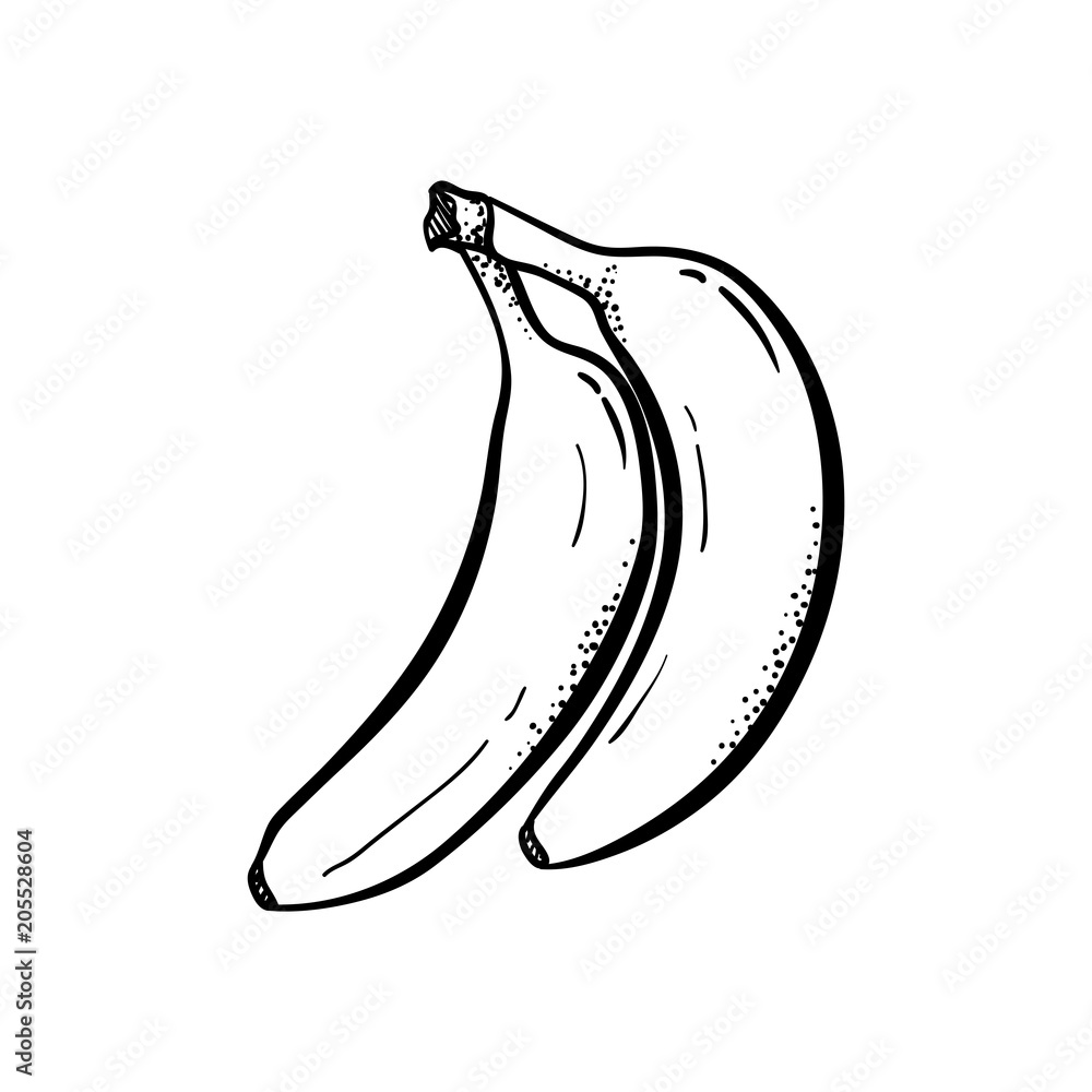 Sketch of a banana. Fruit sketch - Vector illustration Stock Vector Image &  Art - Alamy