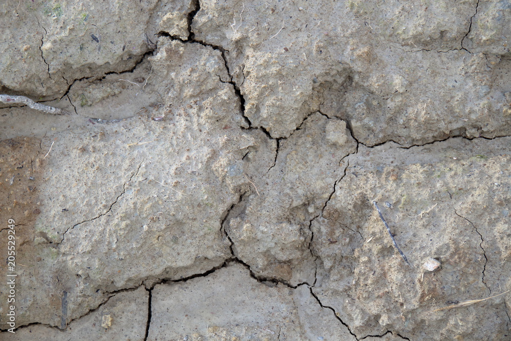 Obraz premium nude arse soil after rainy days