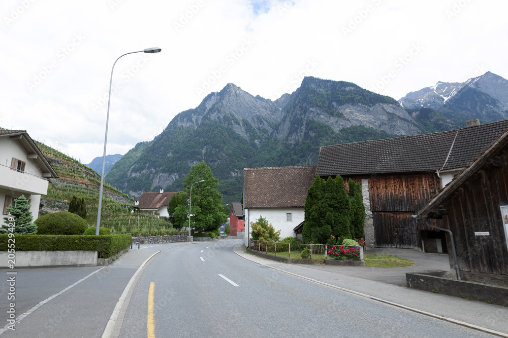 Street in Liechtenstein with Alps background.