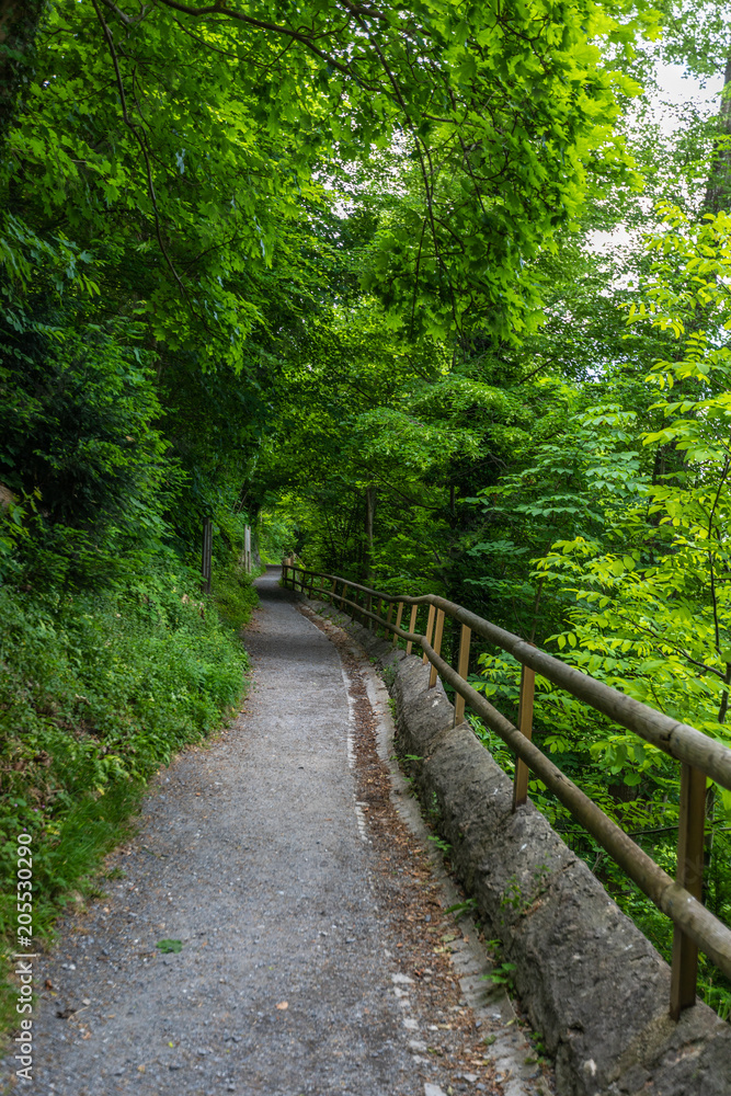Walking trail in the park in the mountains of the Alps