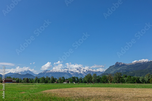 View of the green field and mountains of the Alps in Liechtenstein. © A_Skorobogatova