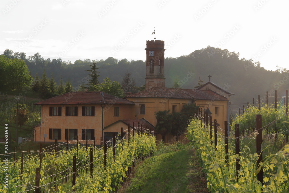 countryside church in vineyards