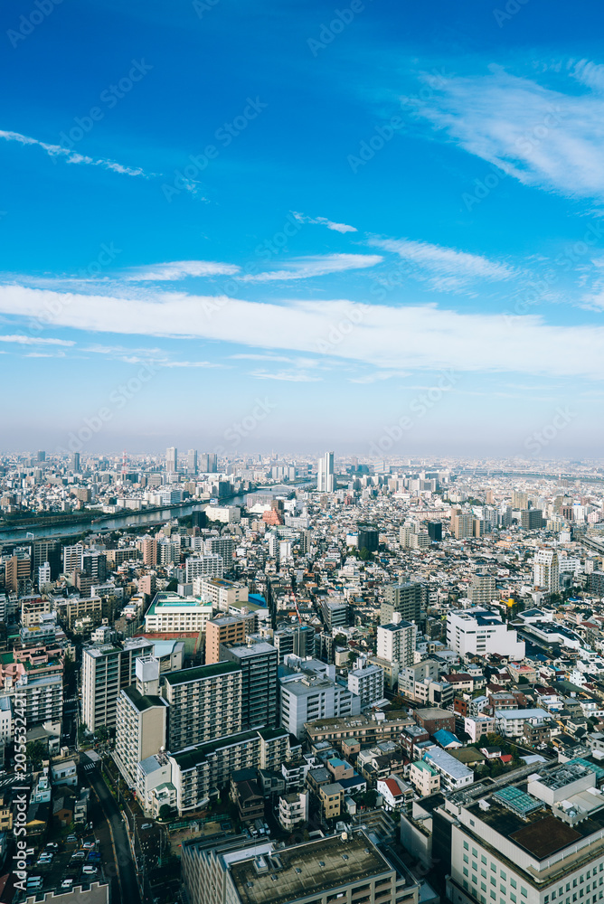 View of downtown cityscape and sky tree in tokyo, Japan.