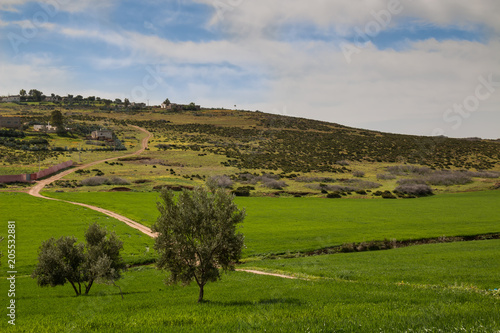 Green and fresh country in the spring in Morocco