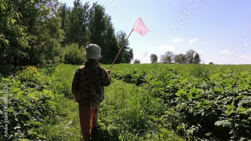 boy catches butterflies with a net in the meadow.
