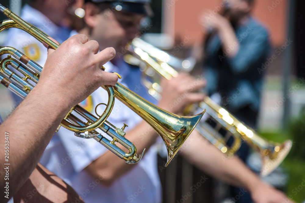 Fototapeta premium alto-soprano register trumpet