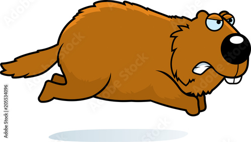 Angry Cartoon Woodchuck