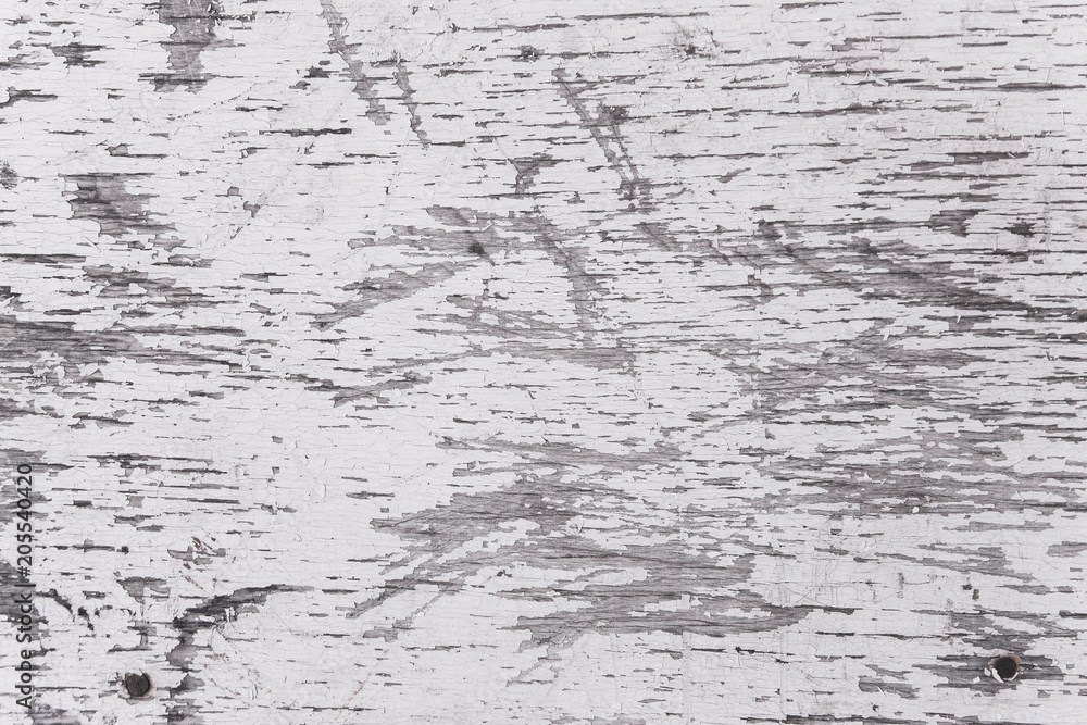 Grunge wood wall pattern. The white wood texture with natural patterns. Grunge wood wall pattern. The white wood texture with natural patterns.