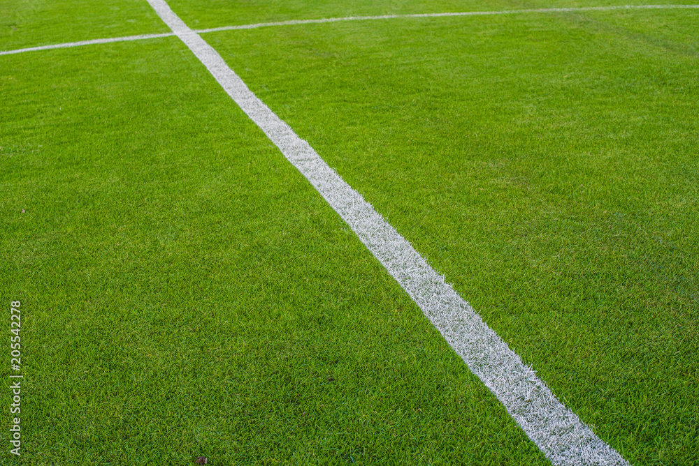 Obraz premium Soccer field or football field background.