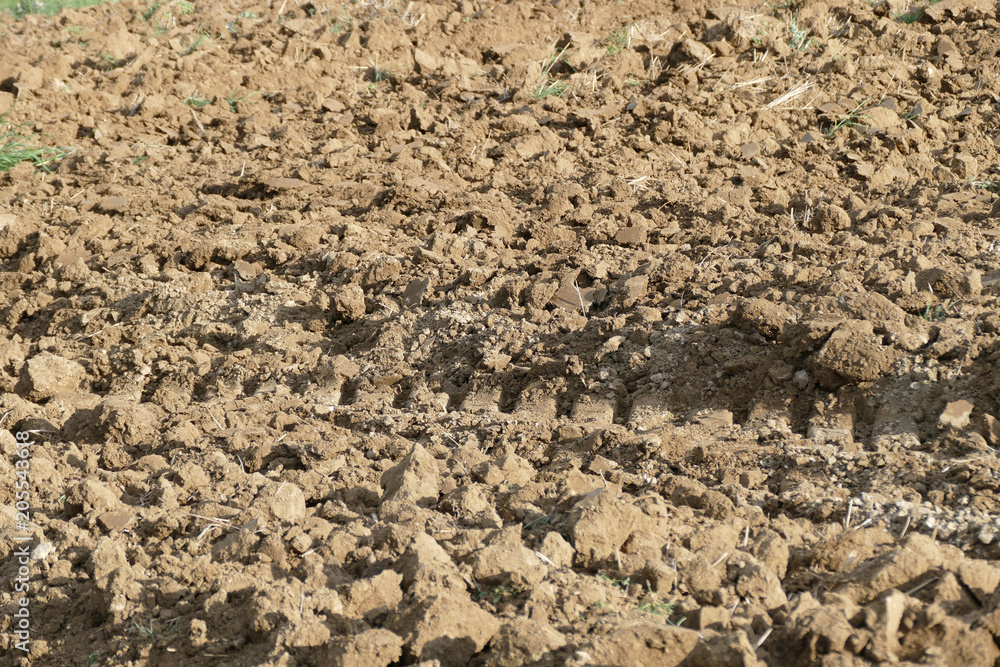 fallow fields,
- fallow fields,
-