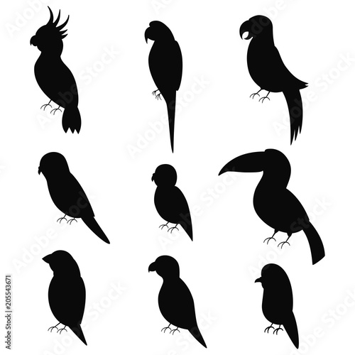Exotic parrots black silhouette vector icon set isolated on white background.