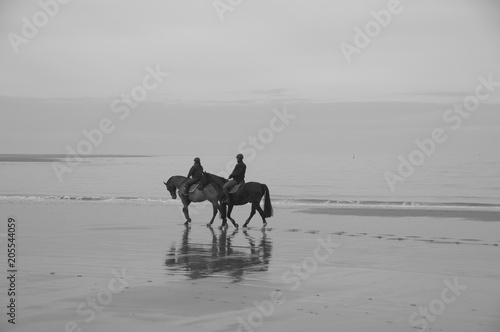 Two horses at the beach