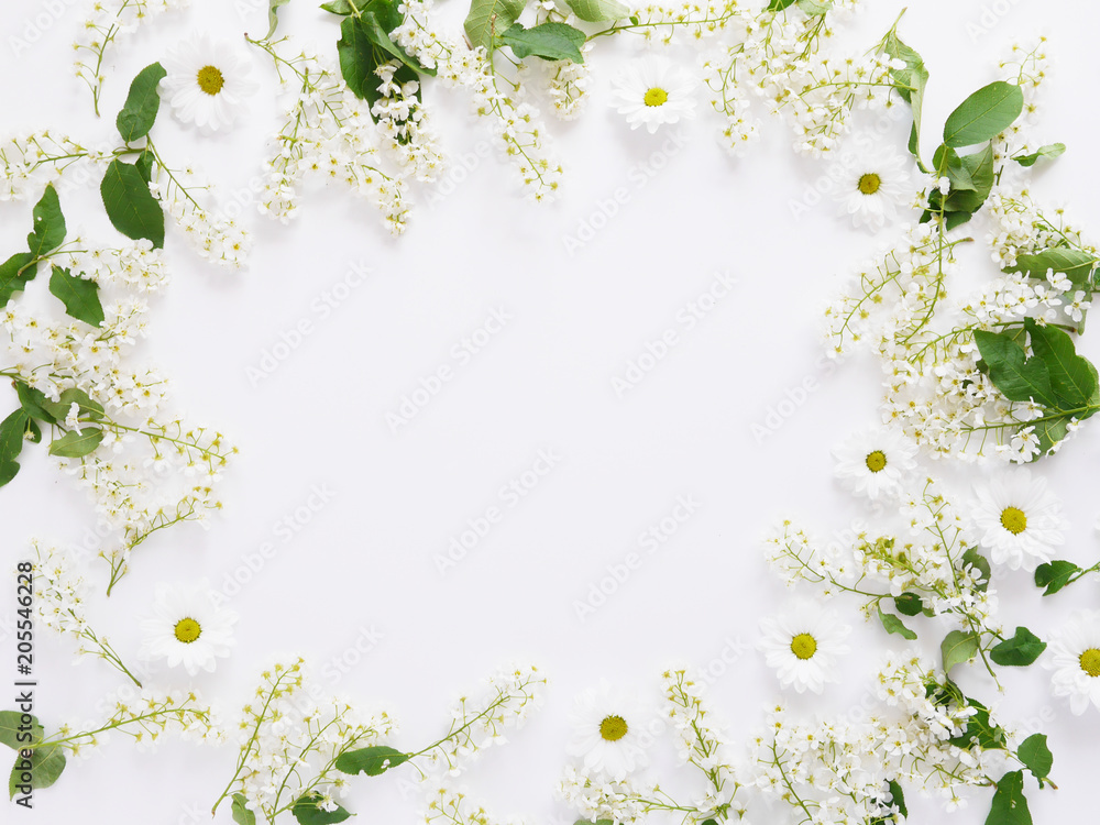 Cherry flowers on a white background, top view, flat layout. concept spring, summer, Mother's Day holidays, March 8. Flowering bird cherry. Cherry flowers on a white background, top view, flat layout. concept spring, summer, Mother's Day holidays, March 8. Flowering bird cherry.