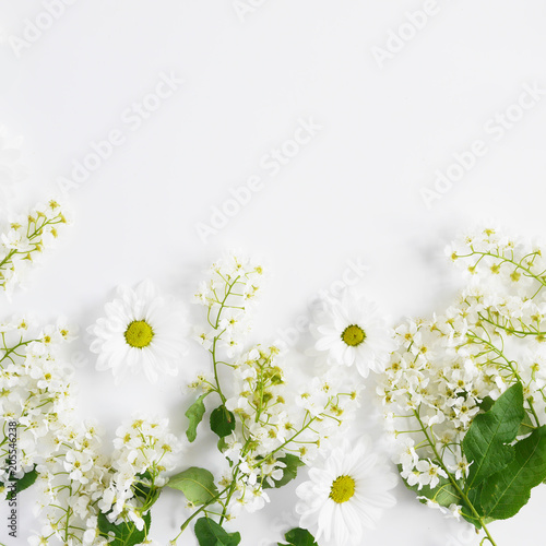 Cherry flowers on a white background, top view, flat layout. concept spring, summer, Mother's Day holidays, March 8. Flowering bird cherry. © Tatiana Morozova