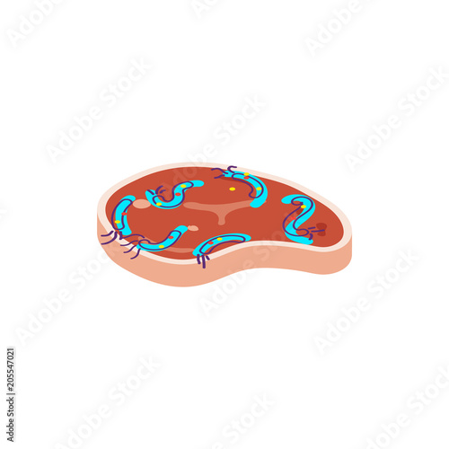 Meat with salmonella. Cartoon vector illustration