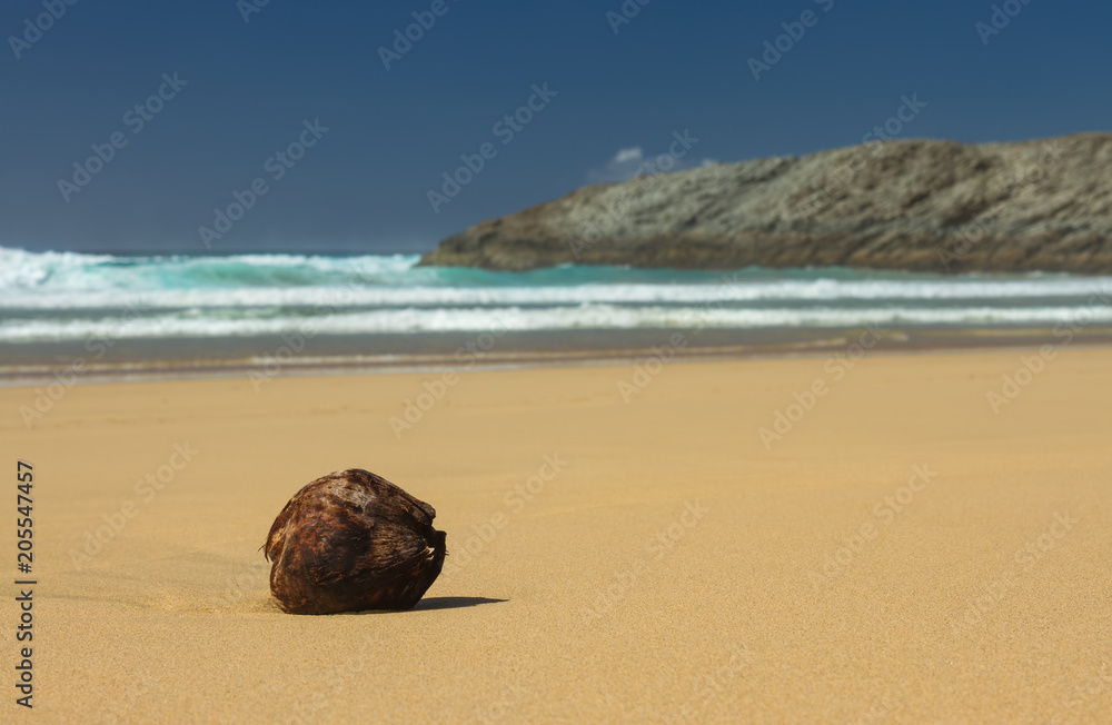 Big coconut on the yellow sand on background of waves and rocks on the beach Cofete, Fuerteventura, Canary Islands Big coconut on the yellow sand on background of waves and rocks on the beach Cofete, Fuerteventura, Canary Islands