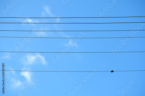Electric wires against blue sky and few clouds background.
