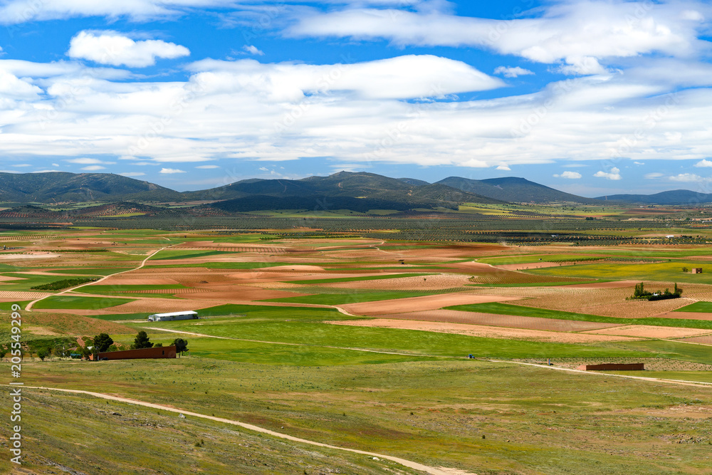 Spain. Castilla de la Mancha.Consuegra. Fields seen from the Calderico hill.