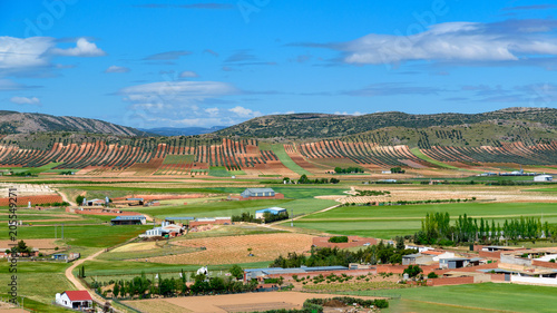 Spain. Castilla de la Mancha.Consuegra. Fields seen from the Calderico hill. photo