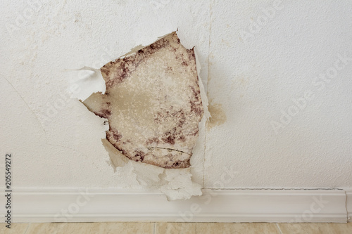 Pintura descascarada en la pared por la fuga de agua en el techo de escayola del baño photo
