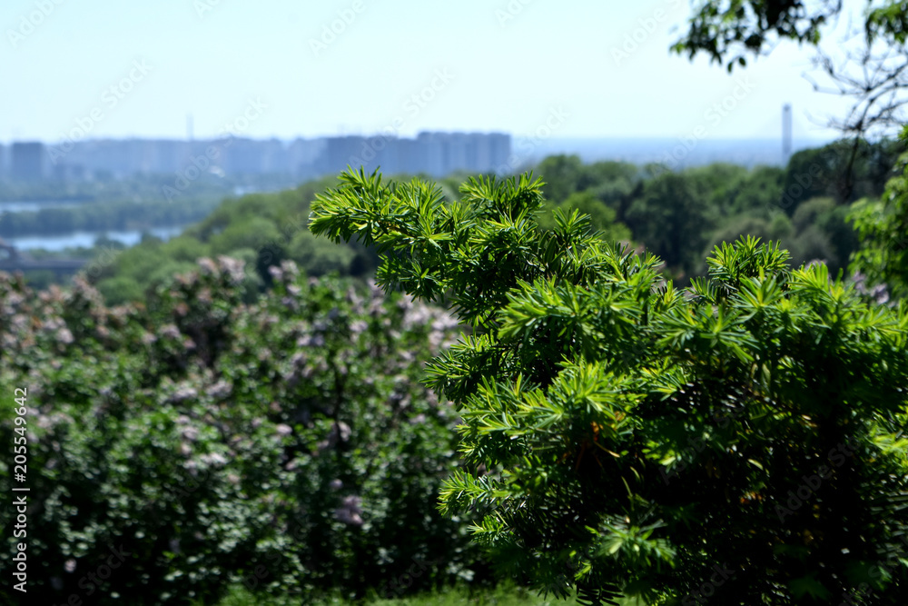 botanical garden in Kiev Ukraine