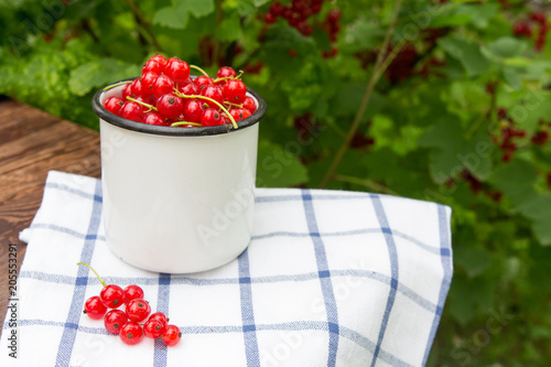 Fotografie Berry season