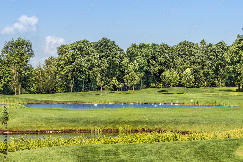 Beautiful lake with birds on the golf course in Mezhigirje near Kiev, Ukraine. Beautiful lake with birds on the golf course in Mezhigirje near Kiev, Ukraine.
