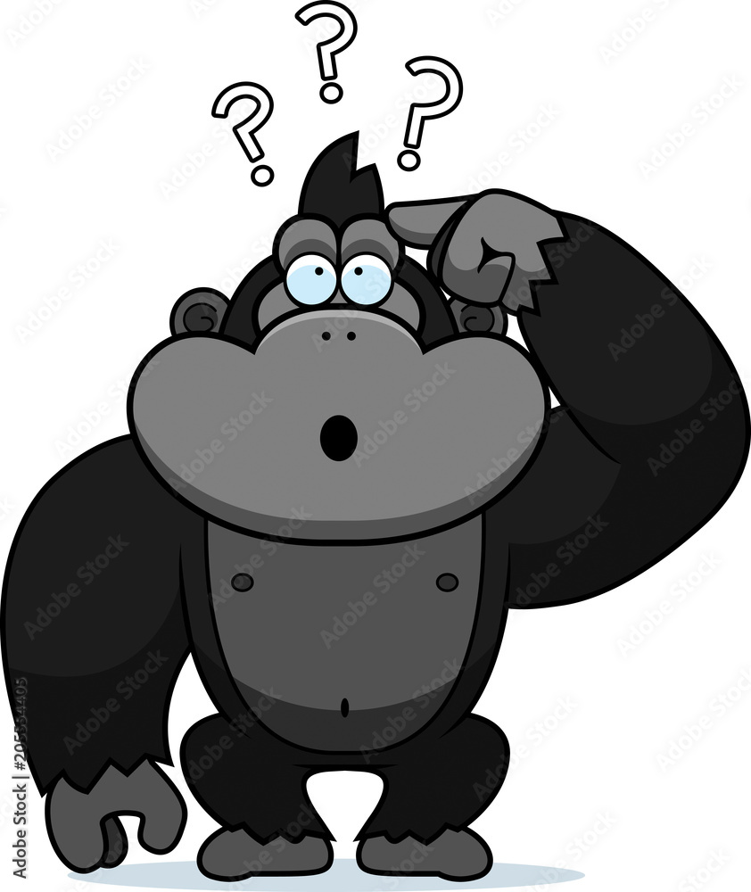 Cartoon Stupid Gorilla Cartoon Stupid Gorilla