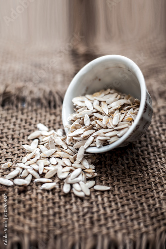 Edible dried raw organic seeds of musk melon or cantaloupe or tati or honeydew on a wooden surface. photo