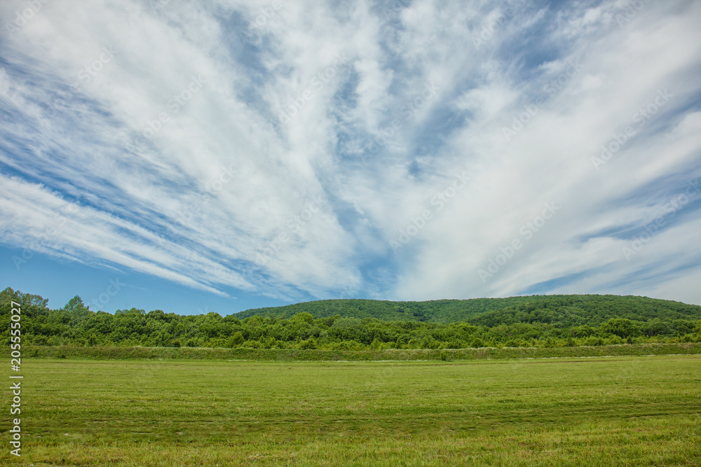 Green field against the sky with big clouds