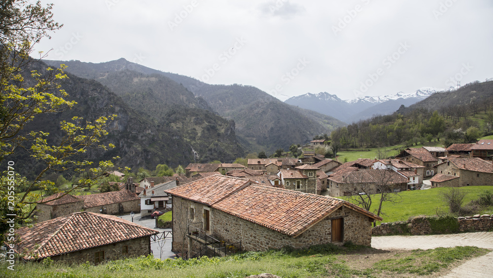 Mogrovejo en Cantabria Mogrovejo en Cantabria