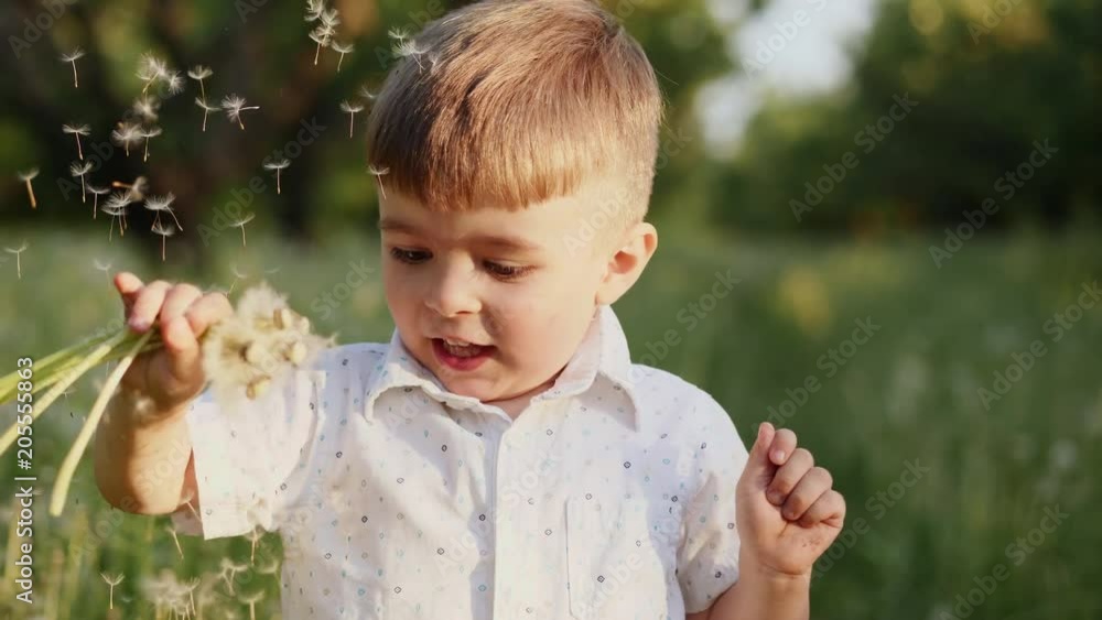 Beautiful little boy, blowing dandelions in the park, close-up. Slow Motion shot Beautiful little boy, blowing dandelions in the park, close-up. Slow Motion shot