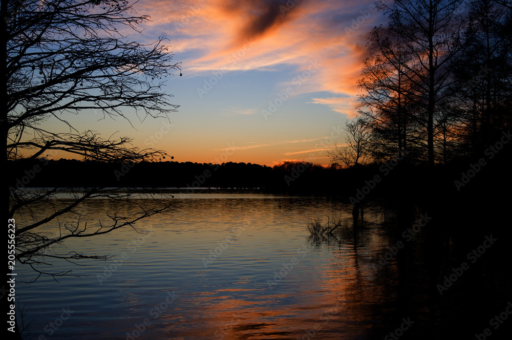 Obraz premium Stumpy Lake Sunset with Trees