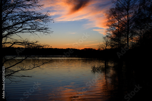 Stumpy Lake Sunset with Trees