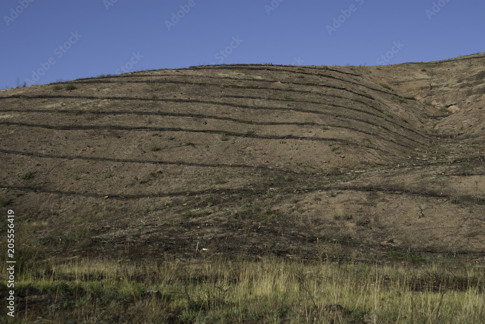 Reforestation terraces after the fire, Guadalajara, Spain