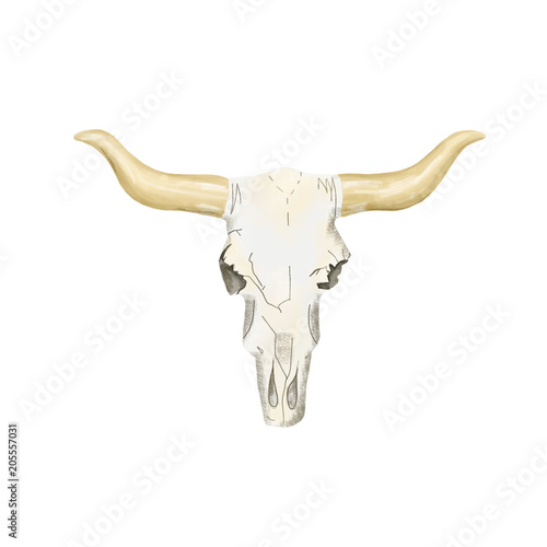 Skull digital art bone cow head tribal bull ox buttress calf boho style illustration geometric on white background