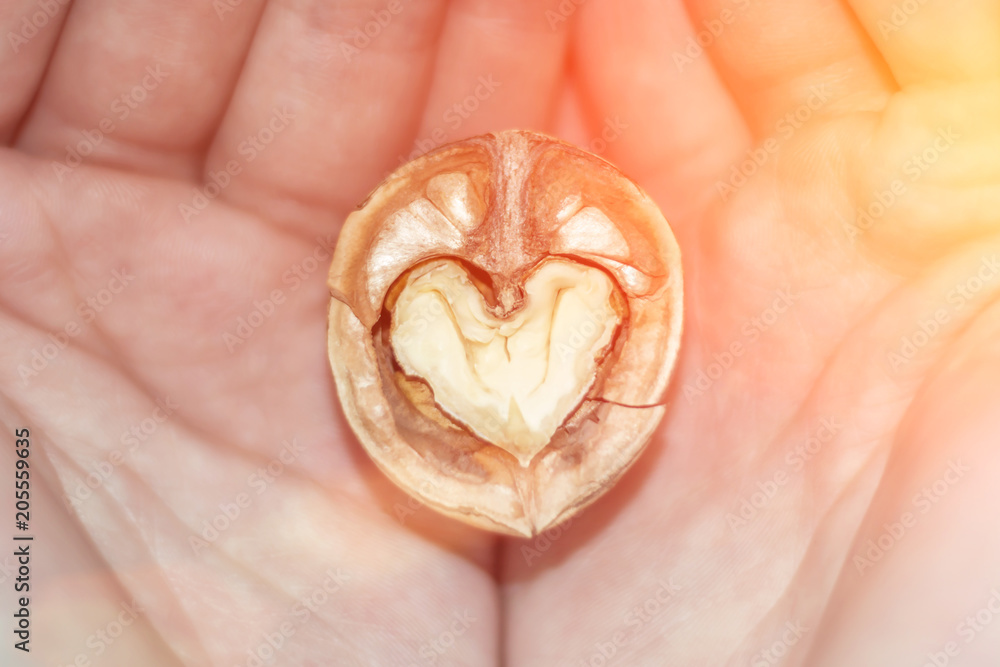 walnut in shape of heart in hands. concept of love for nuts, health benefits, healthy food walnut in shape of heart in hands. concept of love for nuts, health benefits, healthy food