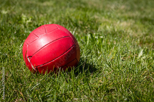 Red ball on green lawn in yard