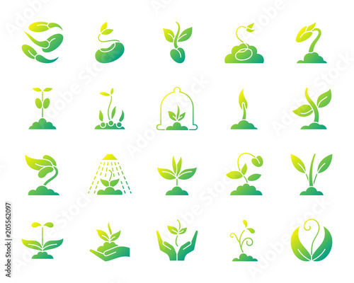 Sprout simple gradient icons vector set