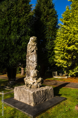 Petrified tree on top of grave. photo