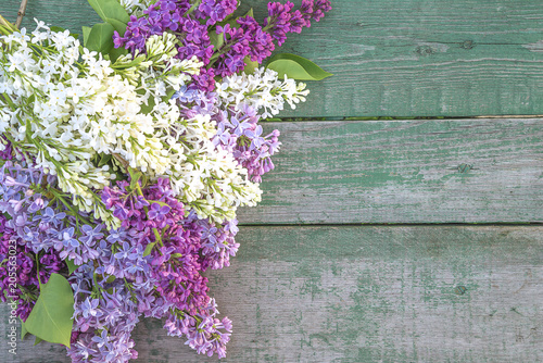 Bunch of multicolored lilac on old paing wooden background with copy space photo