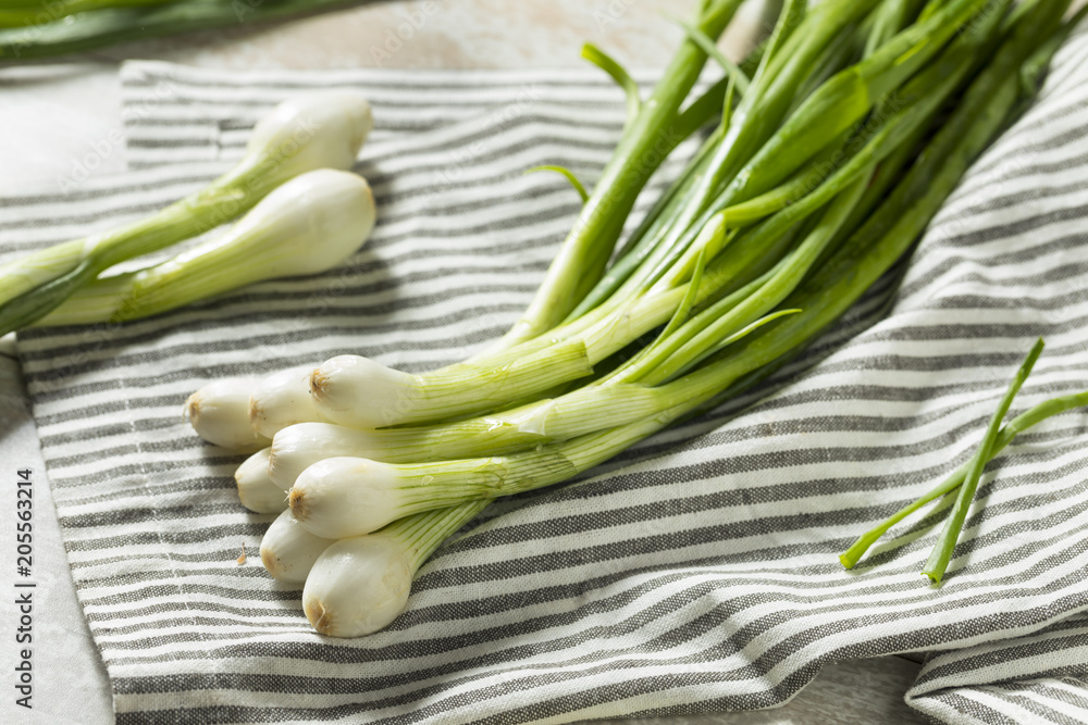 Raw Green Organic Spring Bulb Onions Raw Green Organic Spring Bulb Onions