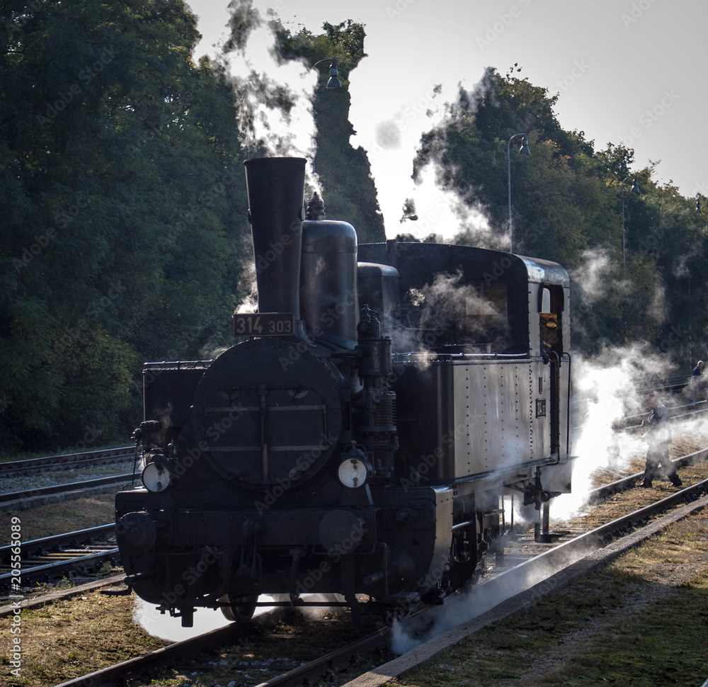 Obraz premium Parowy