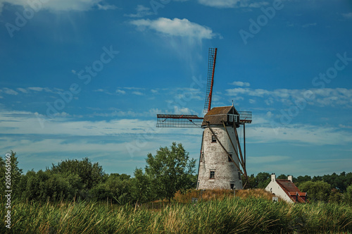 Canal with old windmill, grove and bushes in the background, in the late afternoon light and blue sky near Damme. A quiet and charming countryside old village near Bruges. Northwestern Belgium.