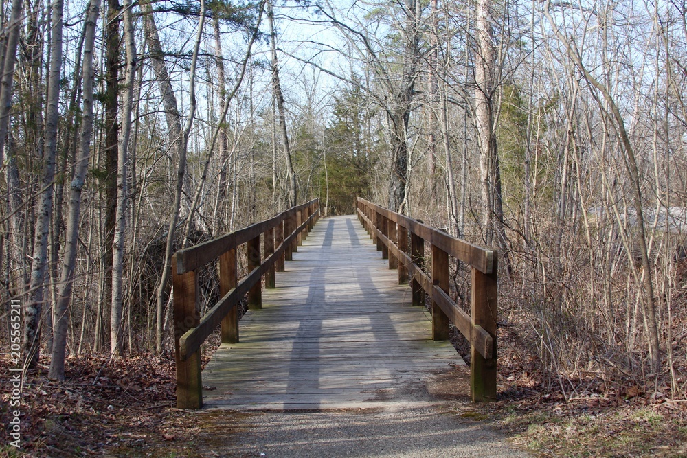 The wood bridge on the nature trail in the forest.