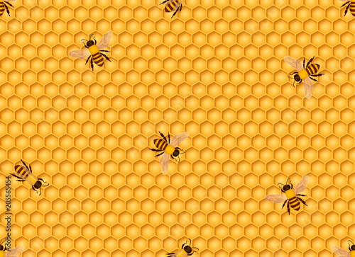 Honeycomb seamless background with bees. Vector illustration.